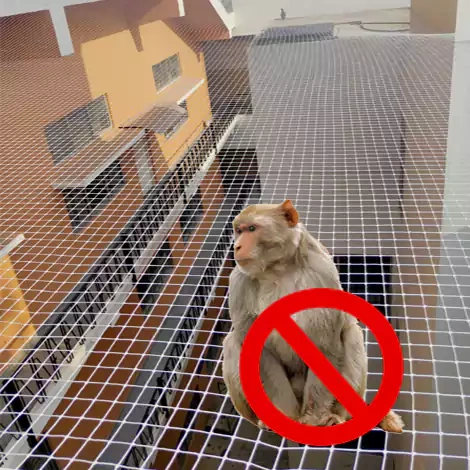 Monkey Net for Balconies Hyderabad