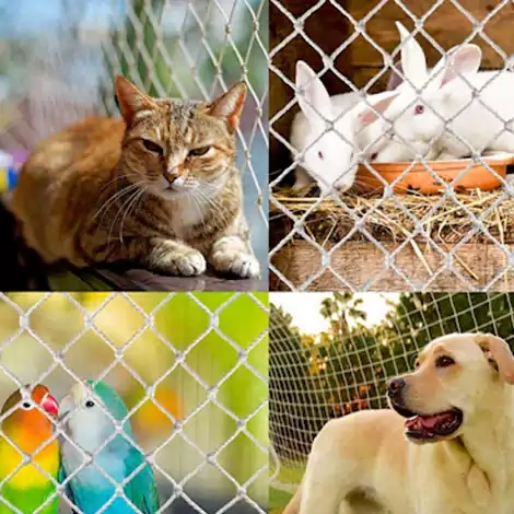 Pets Safety Nets Hyderabad